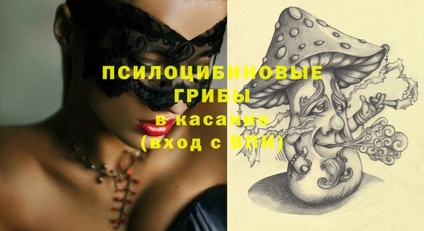 твердый Михайлов