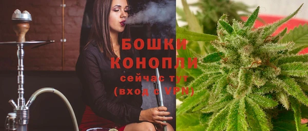 твердый Михайлов