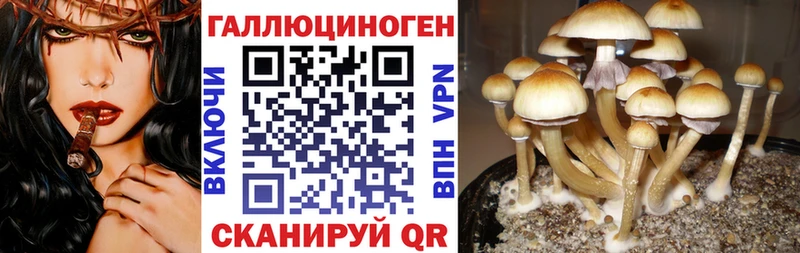 Купить закладки  Арамиль  Галлюциногенные грибы Magic Shrooms 